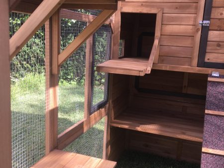 Heidi Cat Enclosure - Relocatable ledges to side