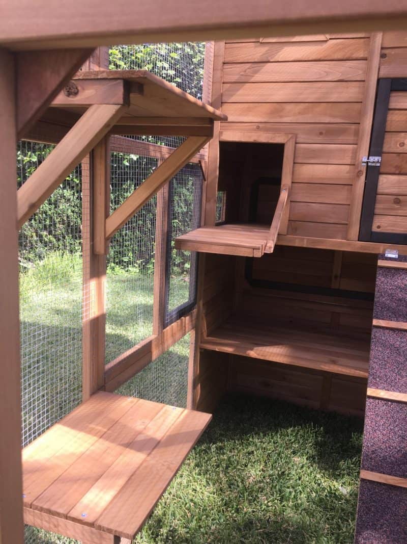 Heidi Cat Enclosure - Relocatable ledges to side