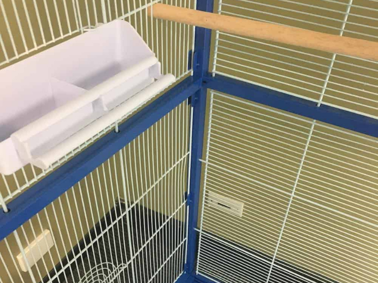 Buddy Bird Cage