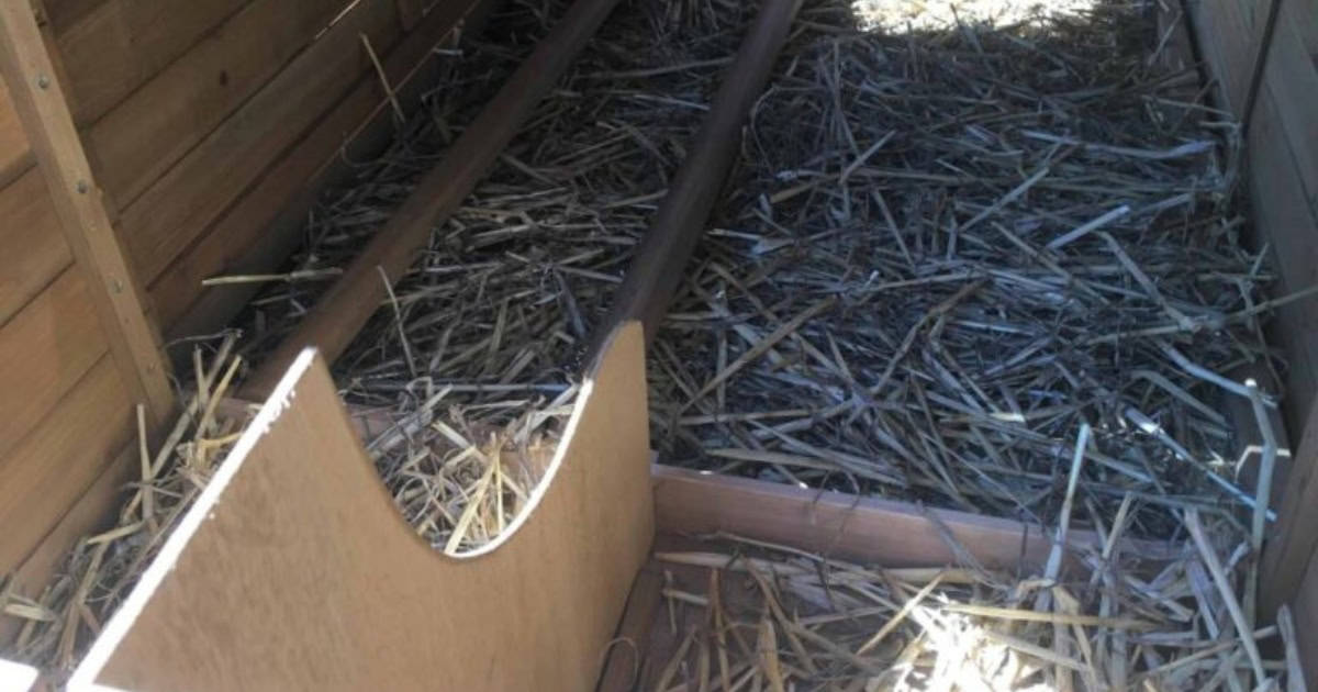 DIY Nesting Box