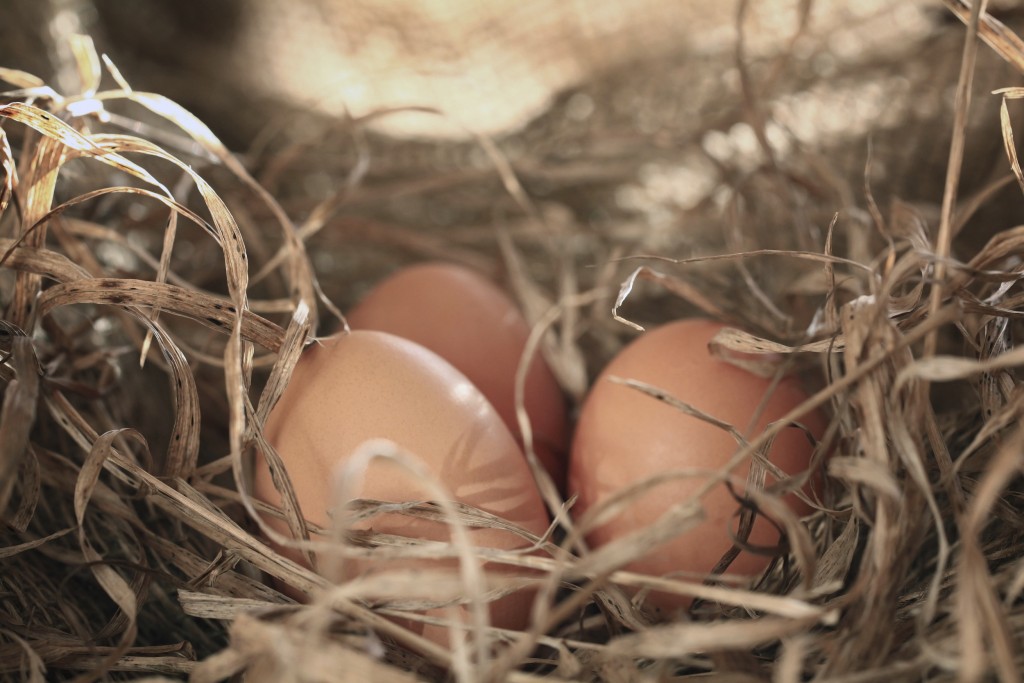 For the perfect nesting box, make sure it is enclosed, dark and gives your hens privacy