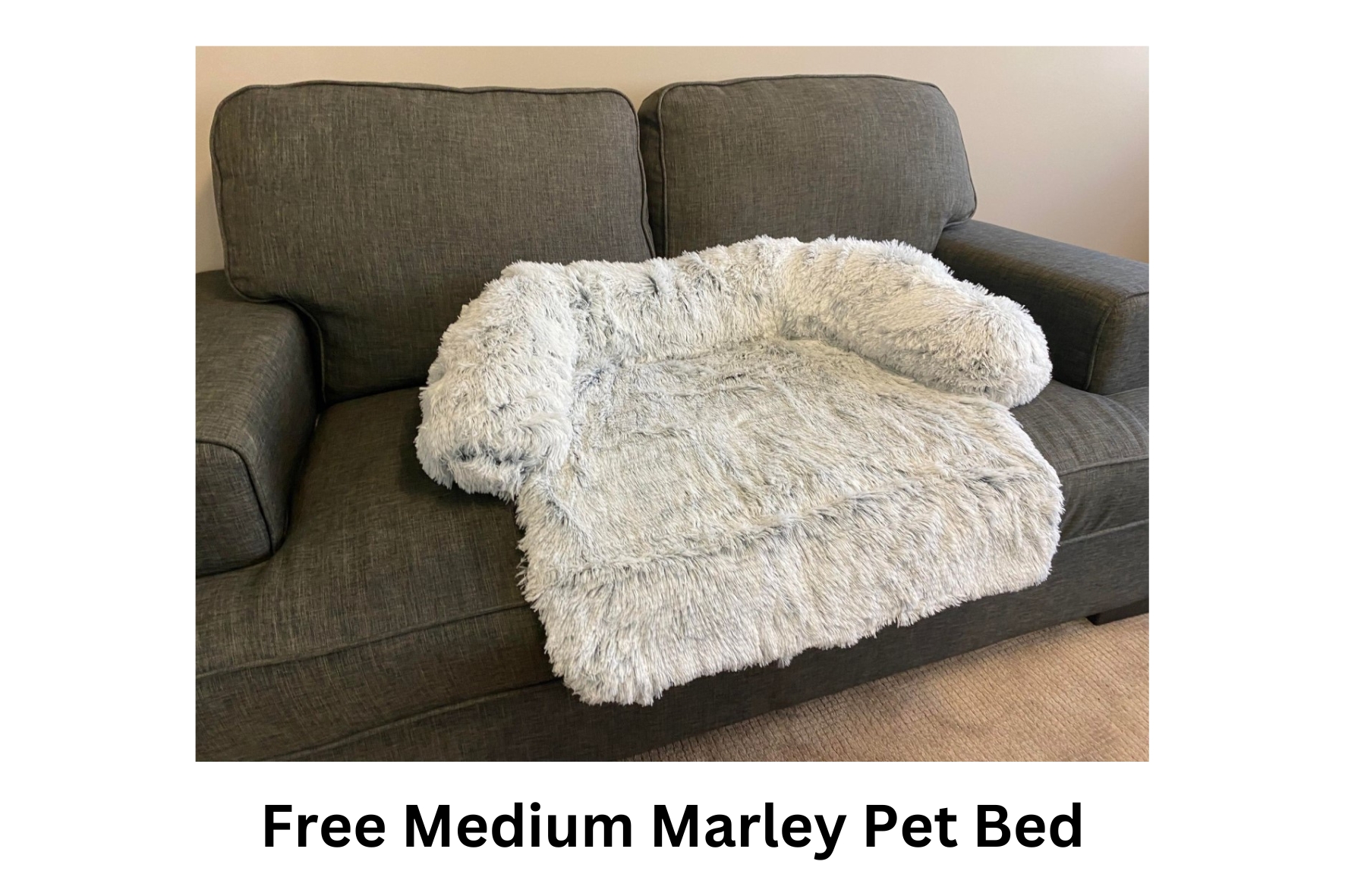 Free Medium Marley Pet Bed