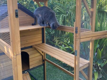 Cat kingdom hotsell enclosures