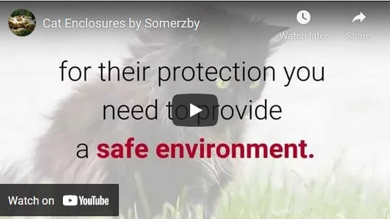 Somerzby Cat Enclosures on YouTube
