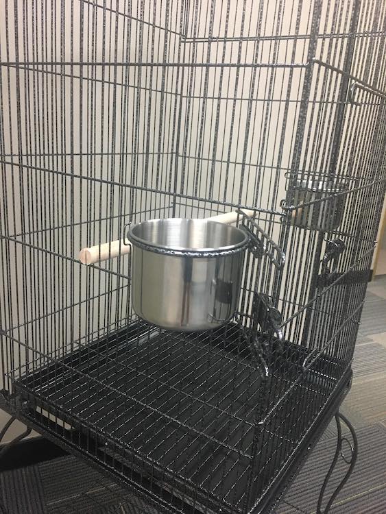 2 Stainless Steel Food Bowls - Amy Bird Cage