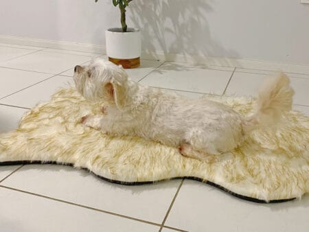 Comfy Faux Fur Dog bed