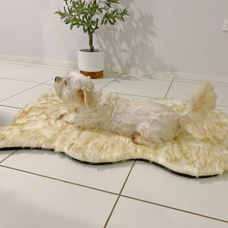 Comfy Faux Fur Dog bed