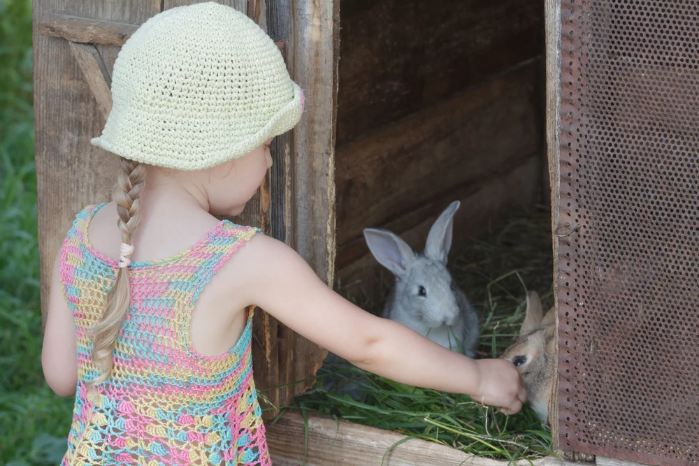 What To Do If Your Rabbit Bites You?