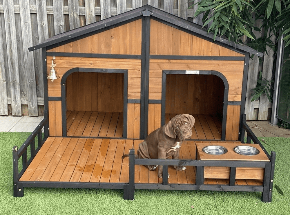 Can a Dog's Kennel Be Too Big?