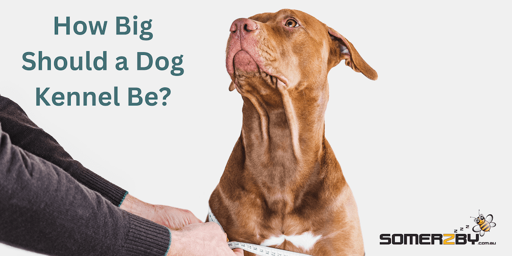 How Big Should a Dog Kennel Be?