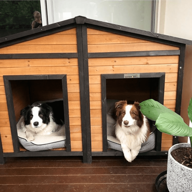 How Big Should A Dog Kennel Be?