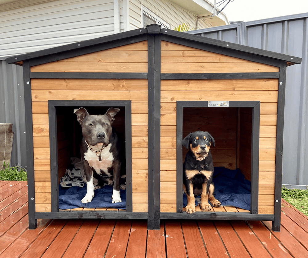 How Big Should A Dog Kennel Be?