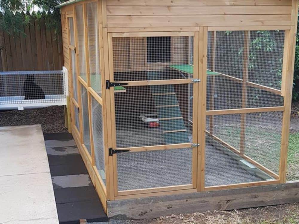 Cat tunnel connected to a cat enclosure outdoors