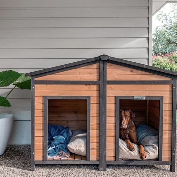 Have a kennel for when they go outdoors during the day