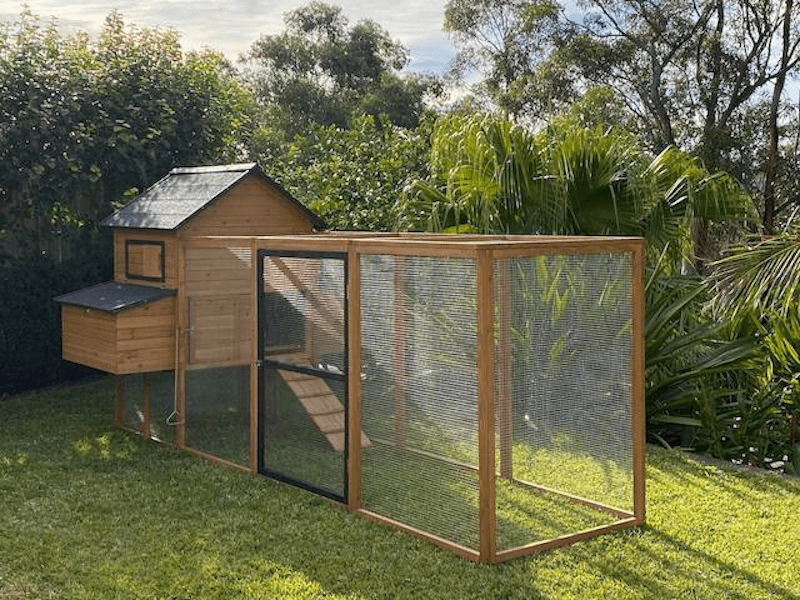 Cabana Chicken Coop & Run