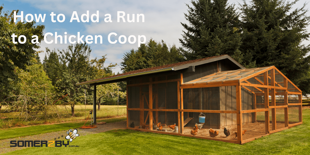 How To Add A Run To A Chicken Coop