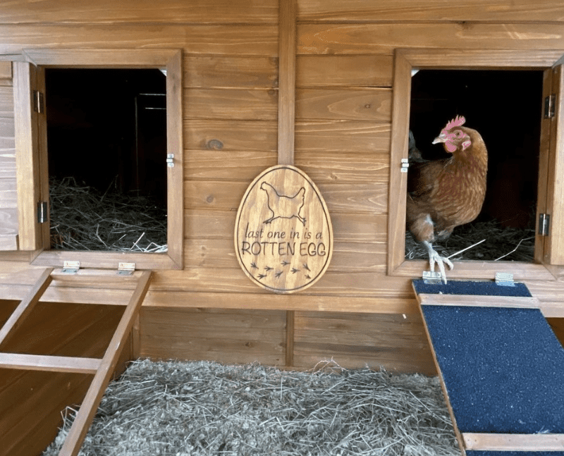 Inside Their Coop Full Time - How Much Space is Needed