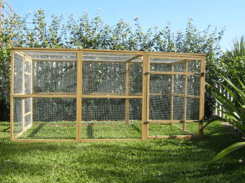 Large Chicken Run