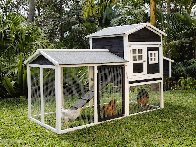 Mansion Chicken Coop