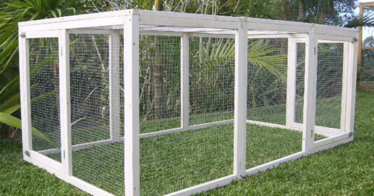 Mansion Chicken Run