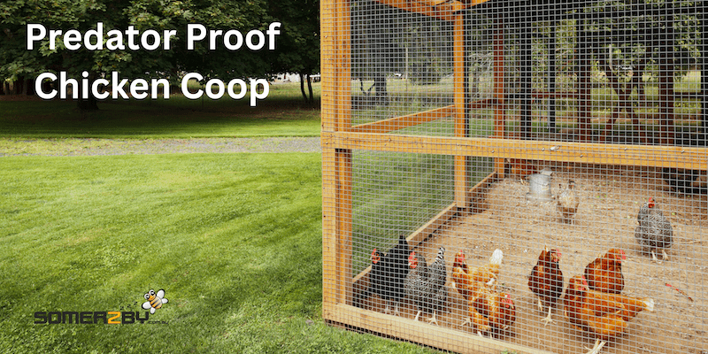 Predator Proof Chicken Enclosure Designs preview