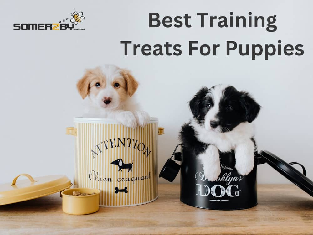Best Training Treats for Puppies