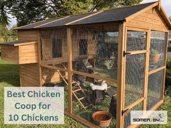 Best Chicken Coop for 10 Chickens