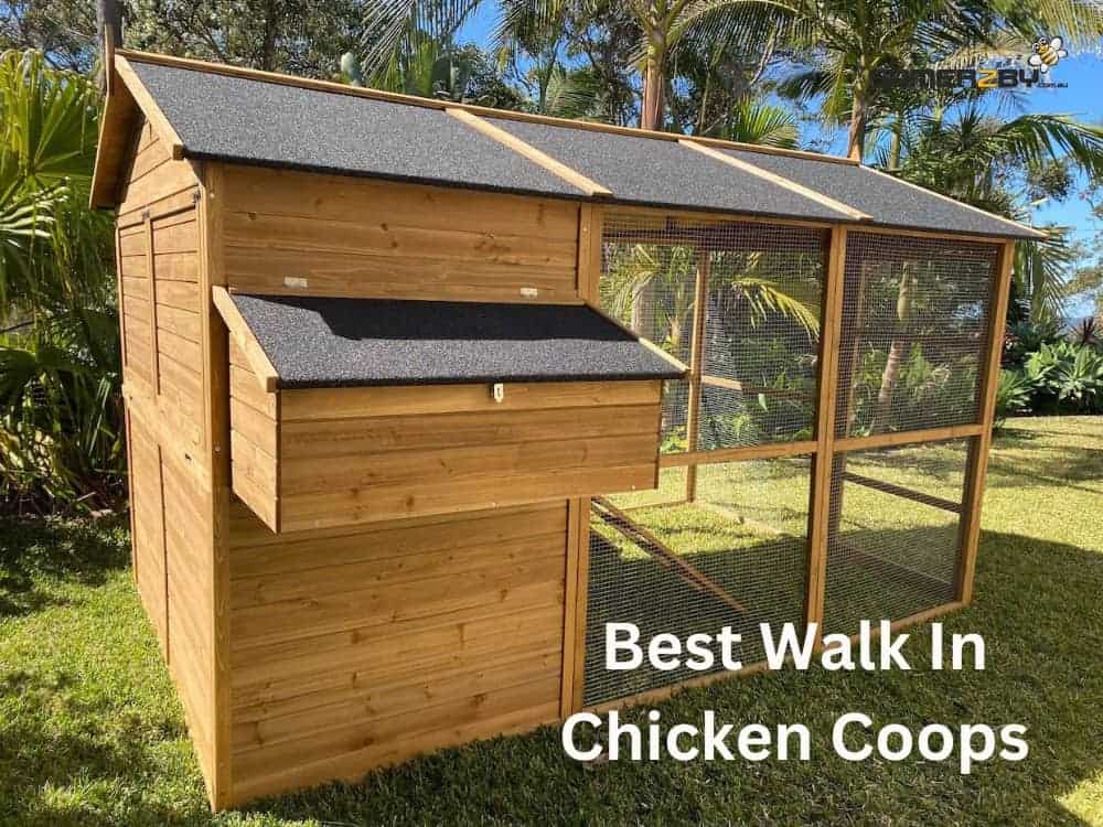 Best Walk In Chicken Coops