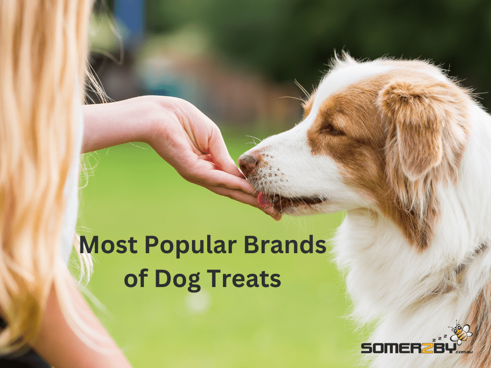Most Popular Brands of Dog Treats