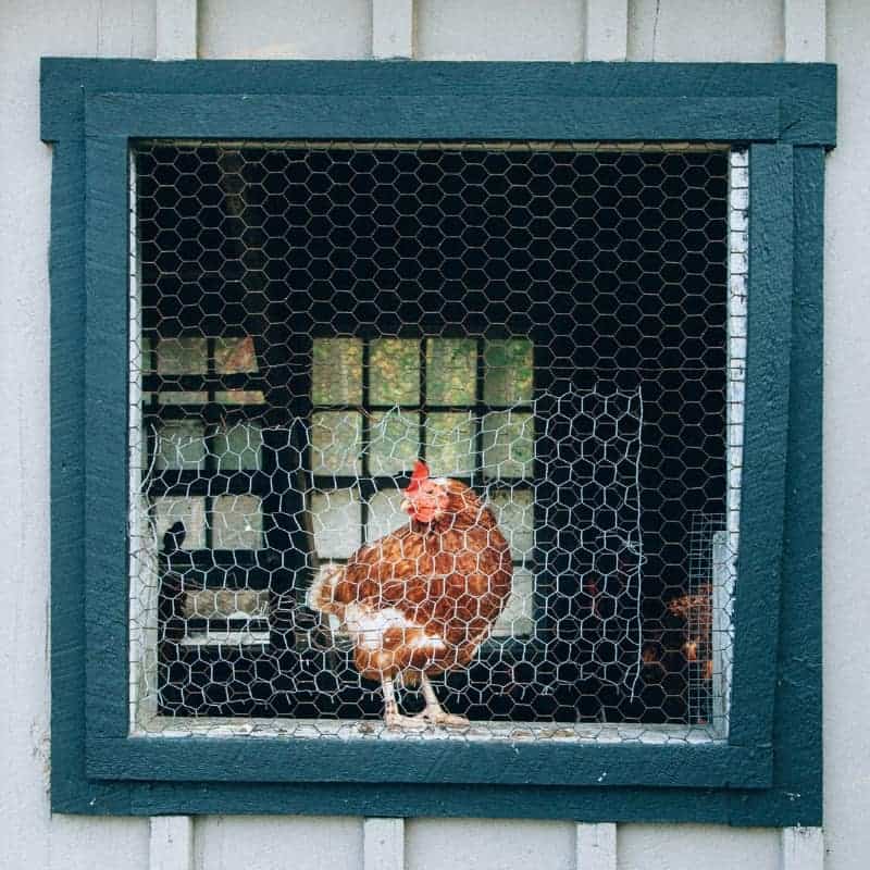 Somerzby nesting boxes all have opening lids