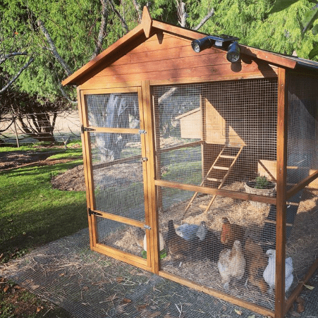 What Size Chicken Coop Do I Need?