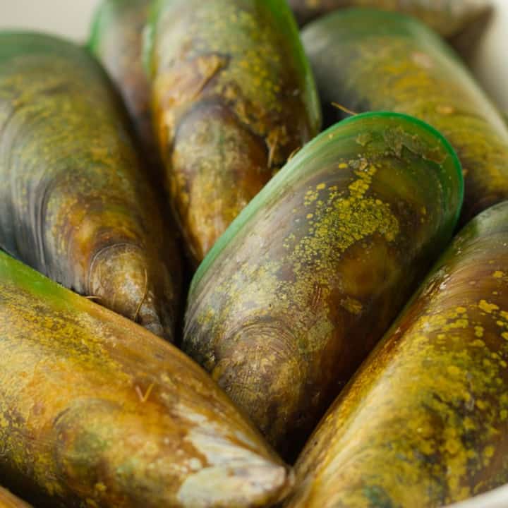 Green Lipped Mussel now available as a dog treat