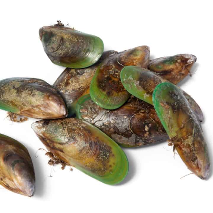 How to Give Green Lipped Mussel to Dogs