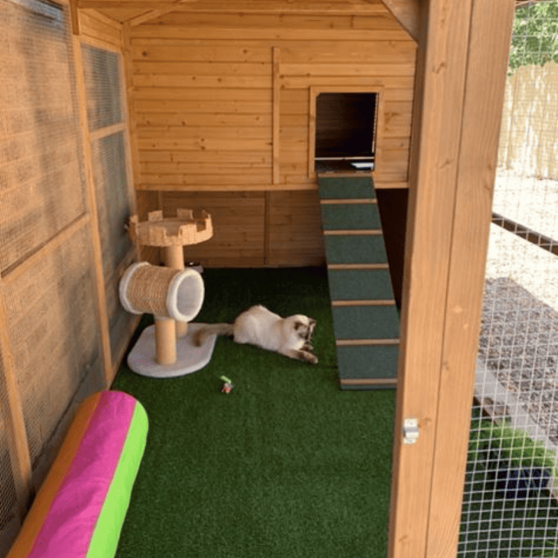 Incorporating Features into Your Cat Enclosure