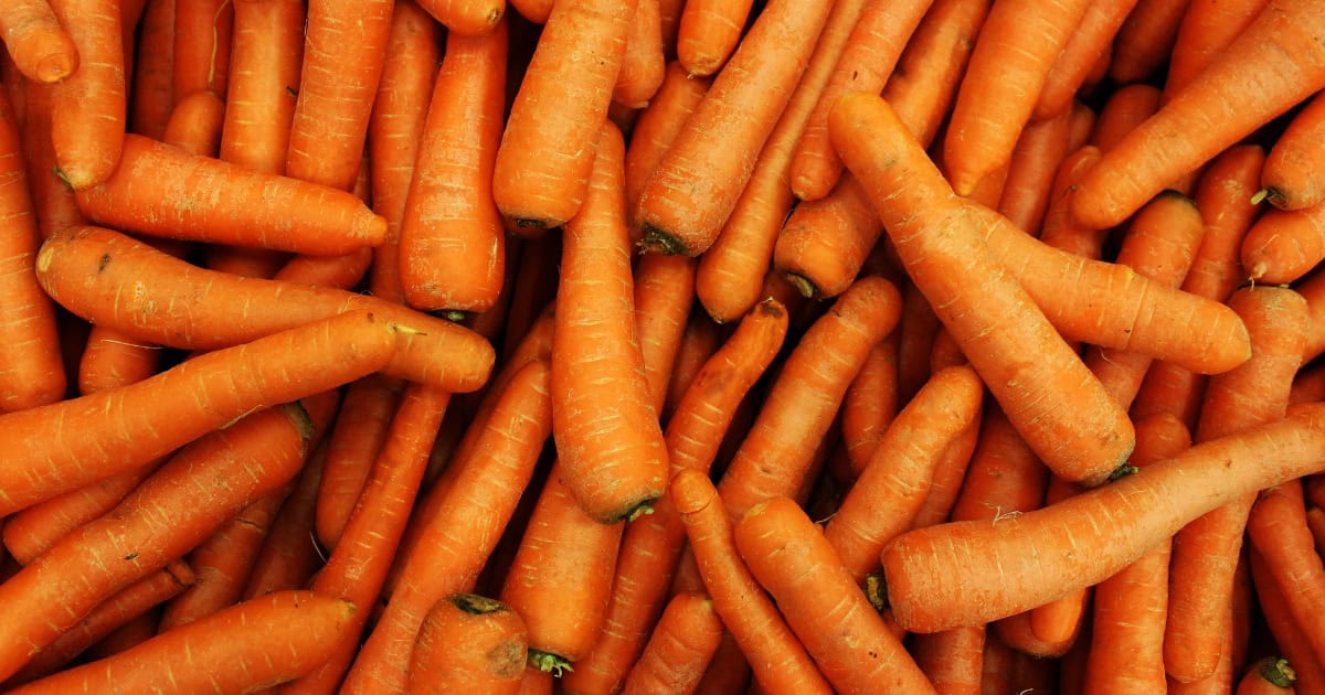 Rabbits eat carrot