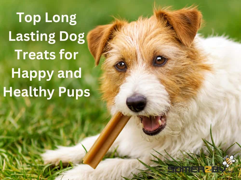 Top Long Lasting Dog Treats for Happy and Healthy Pups