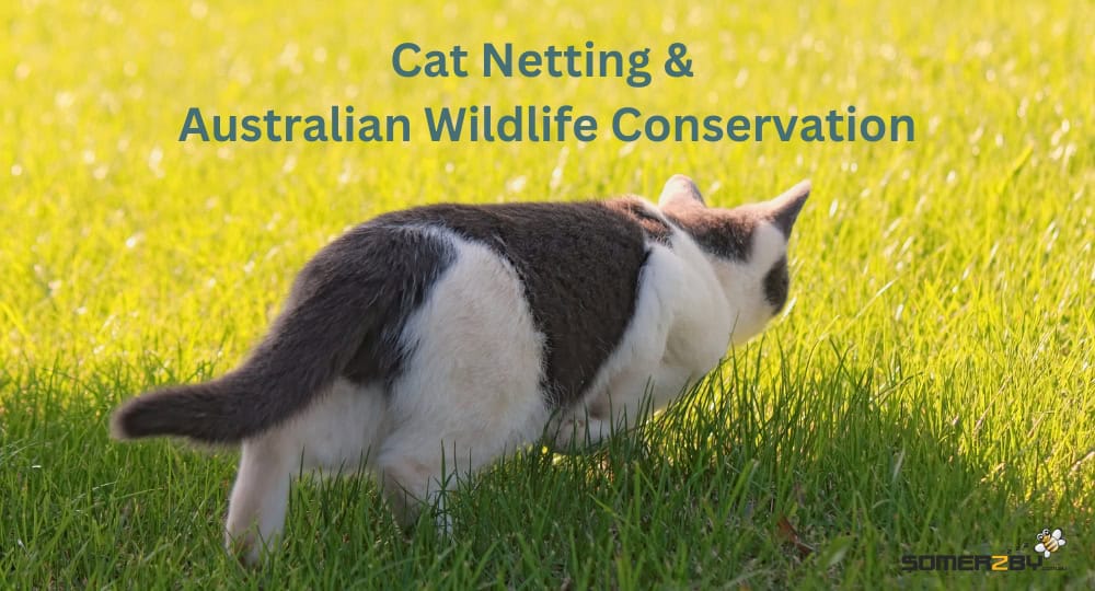 Cat Netting and Australian Wildlife Conservation