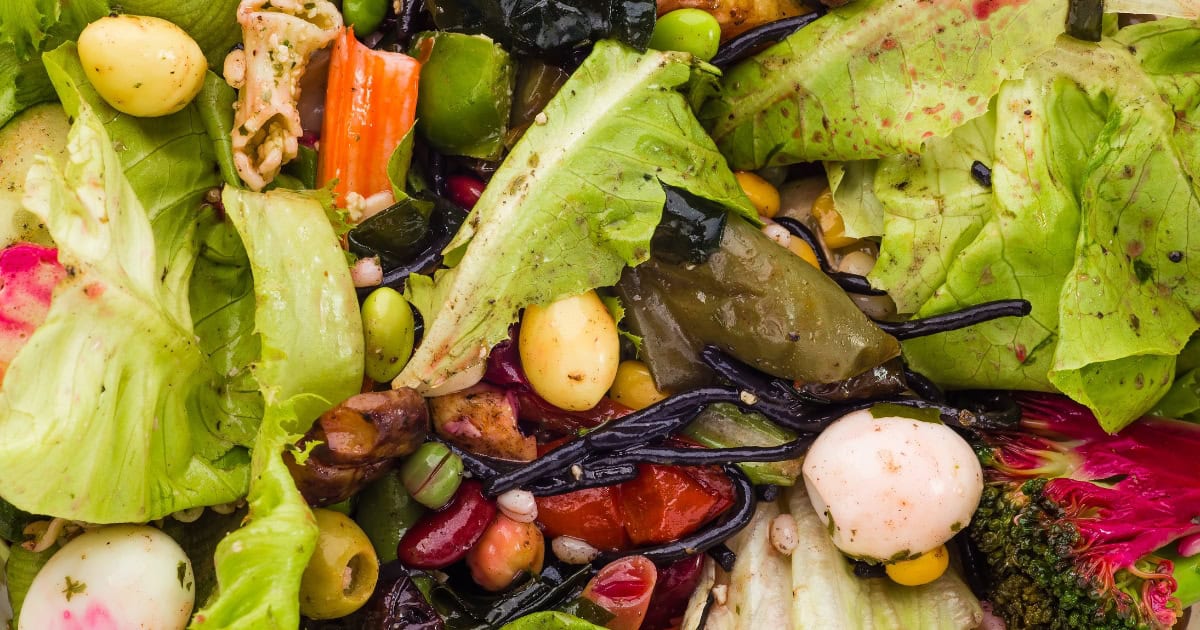 Food Scraps for hens
