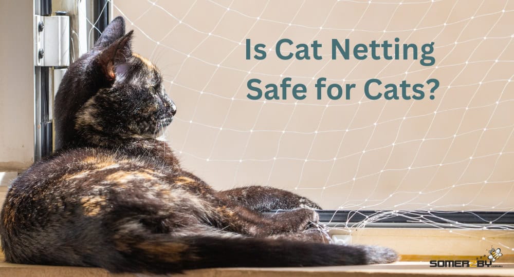 Is Cat Netting Safe for Cats