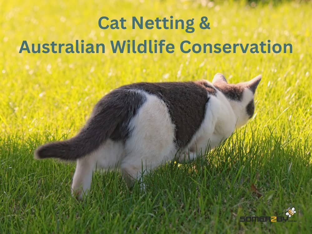 Cat Netting and Australian Wildlife Conservation