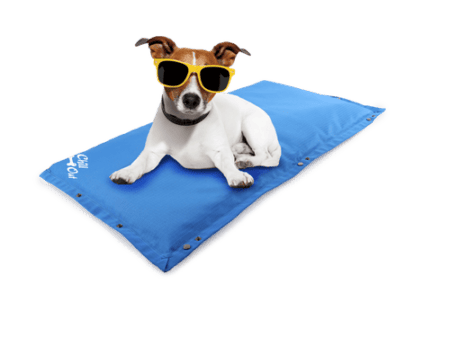 Chill Out Arctic Dog Cooling Mat