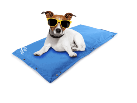 Chill Out Arctic Dog Cooling Mat - All For Paws