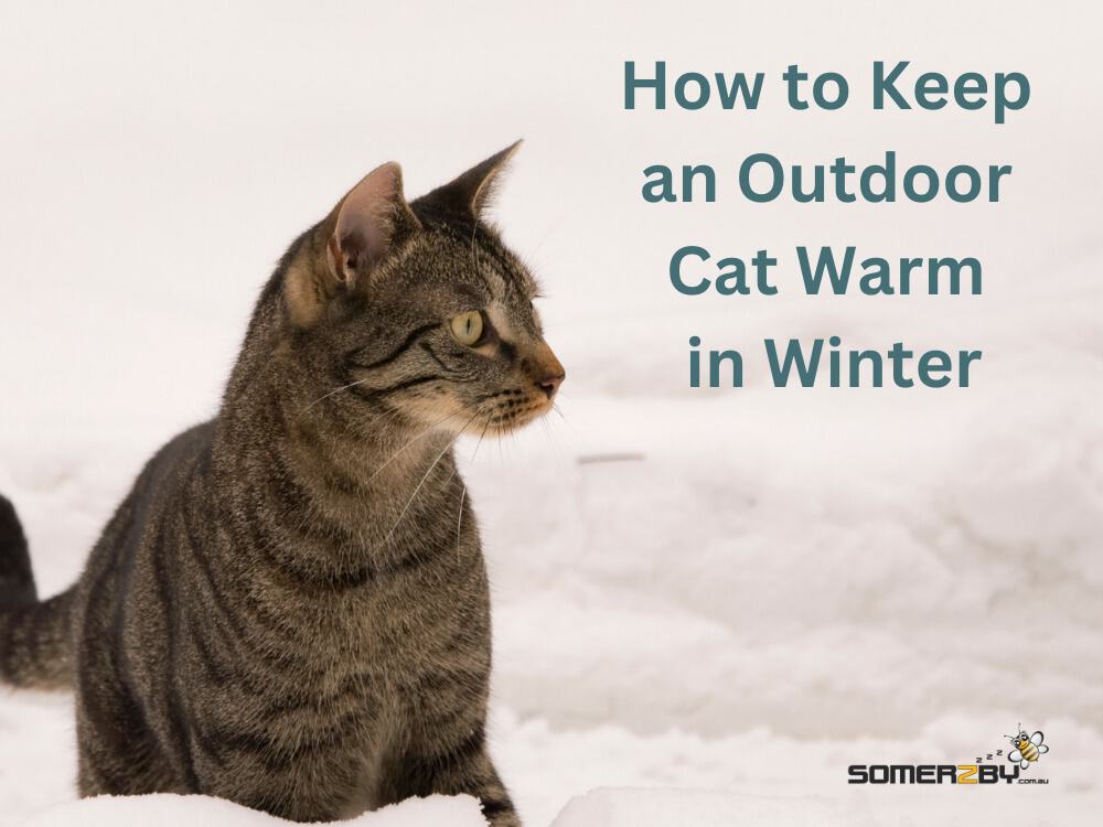 https://www.somerzby.com.au/wp-content/uploads/2023/09/How-to-Keep-an-Outdoor-Cat-Warm.jpg