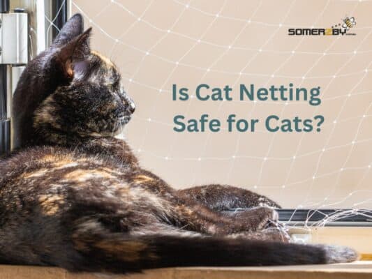 Is Cat Netting Safe for Cats? A Safety Guide for Owners