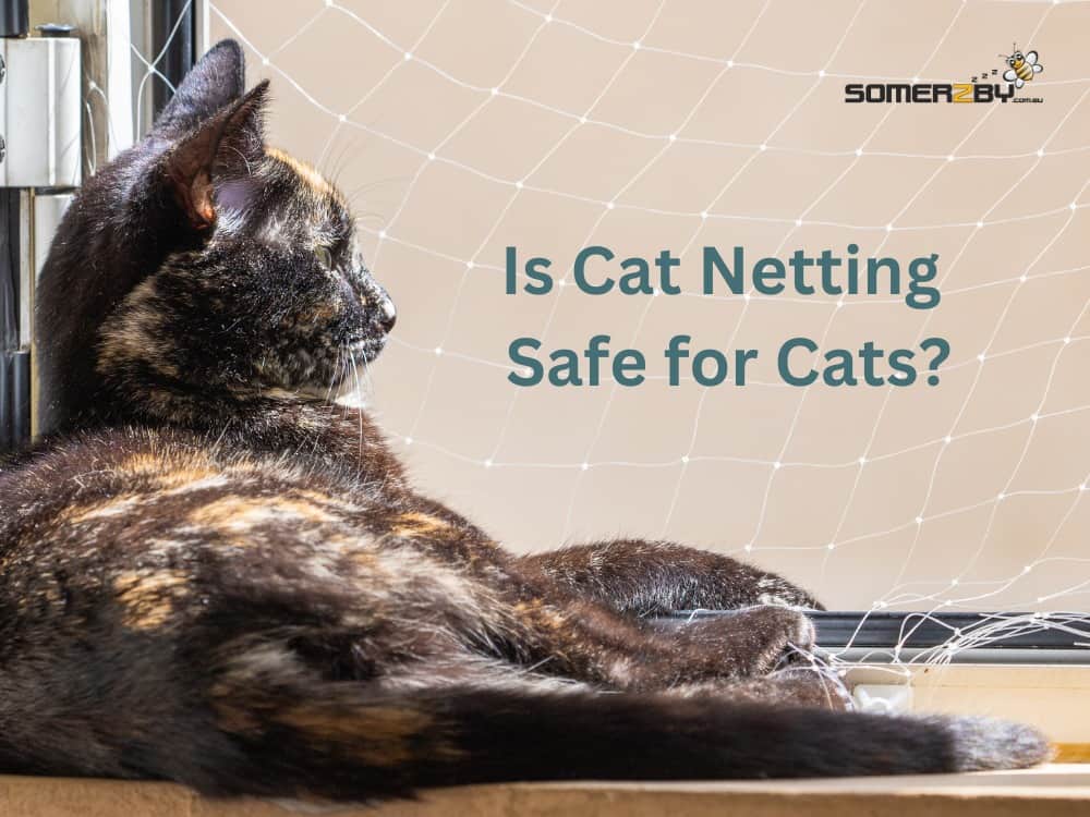 Is Cat Netting Safe for Cats? A Safety Guide for Owners