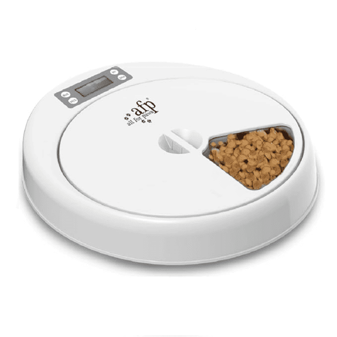 Pet timer bowl cheap