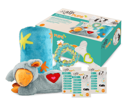 All For Paws Pups New Puppy Starter Kit 1