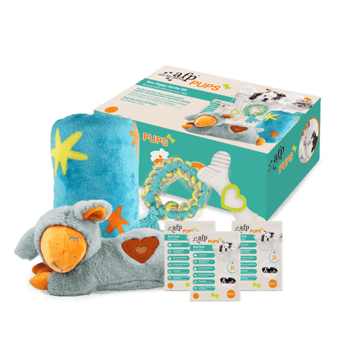 All For Paws Pups New Puppy Starter Kit 1