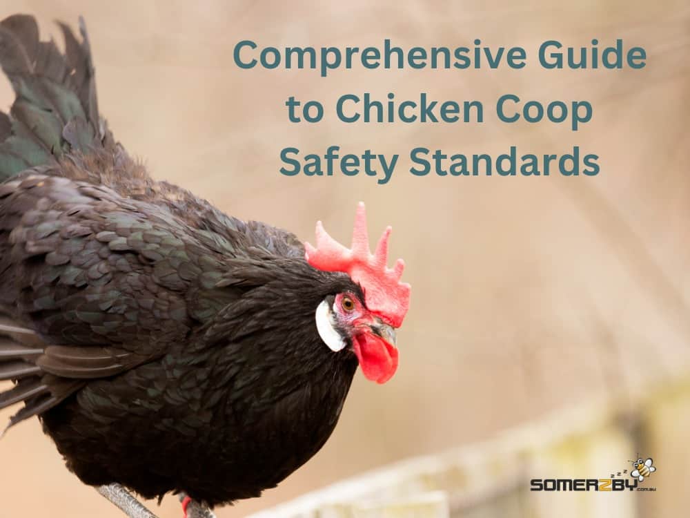 Comprehensive Guide to Chicken Coop Safety Standards
