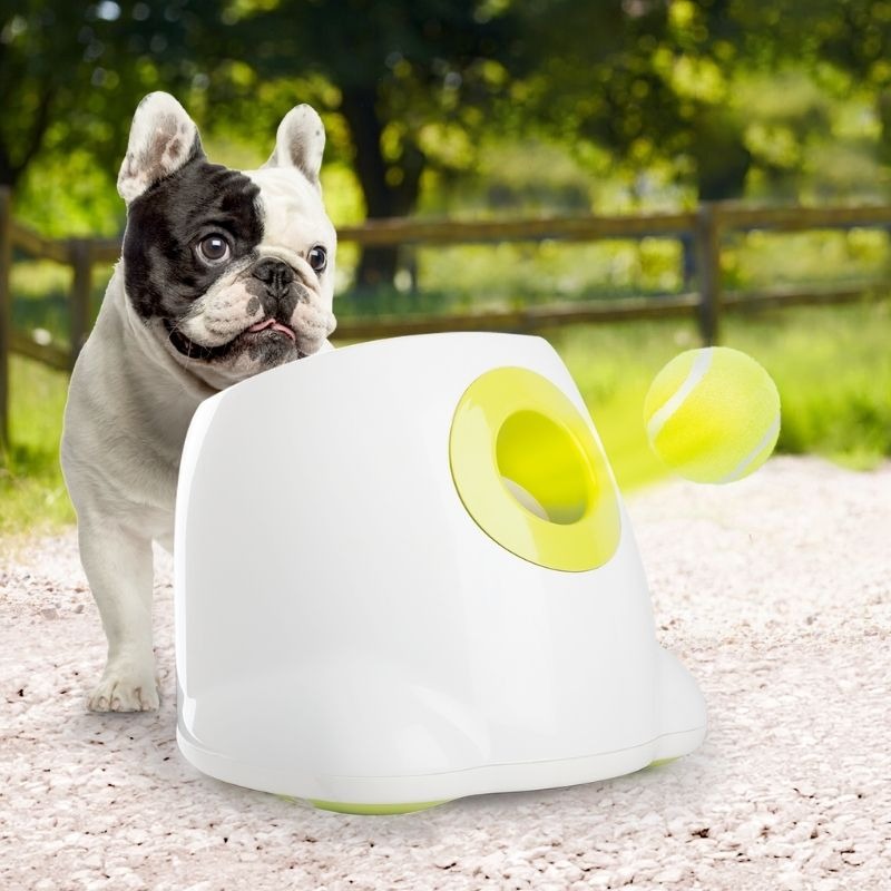 Hyper Fetch Maxi Auto Ball Launcher for Dogs